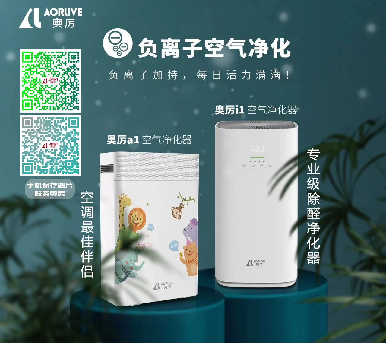 图片09 ok2024.jpg
